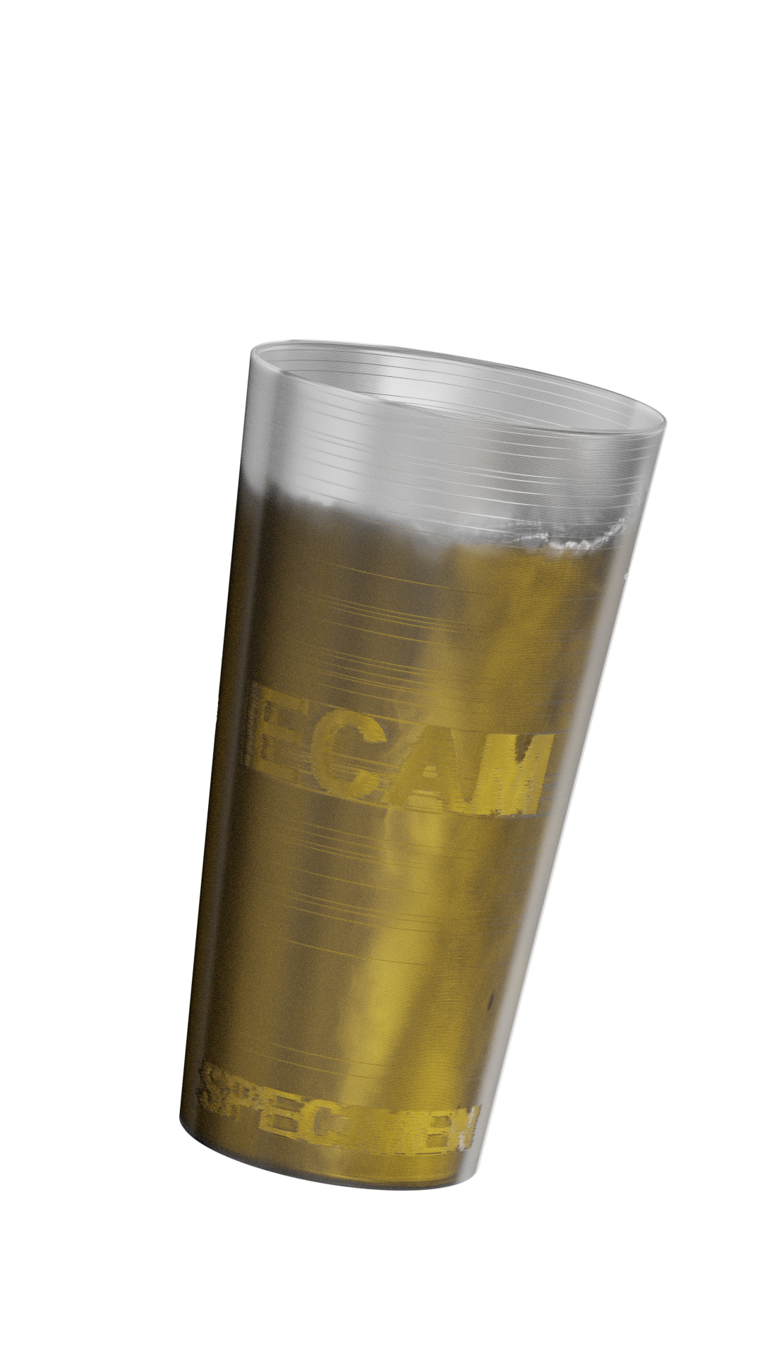 rendu 3D du projet